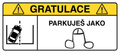 PARKOVKY: Parkovací umělec